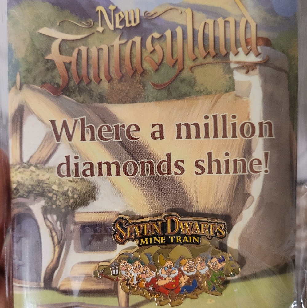 Disney pin
